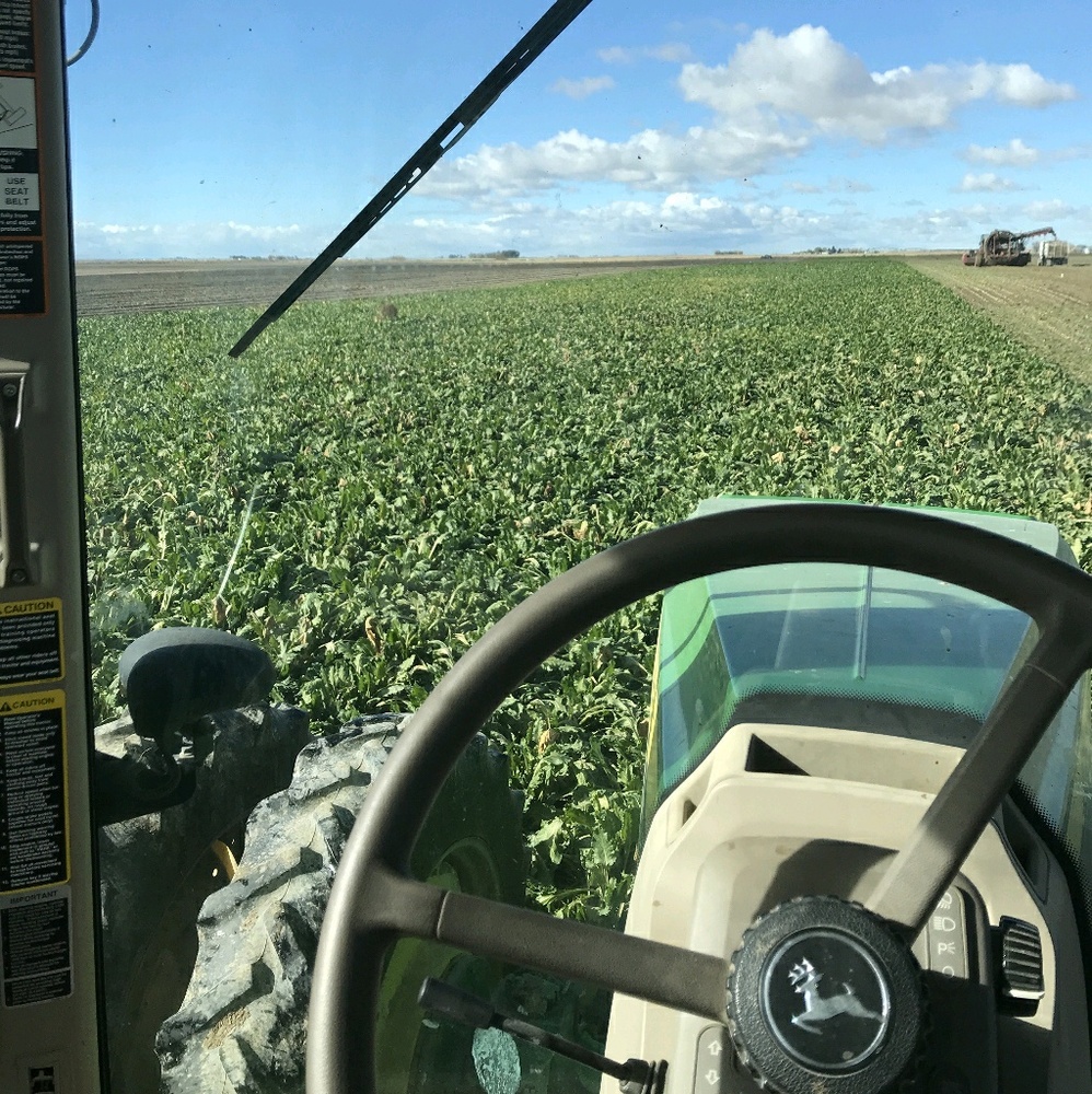 Meet your Posher, Adrian